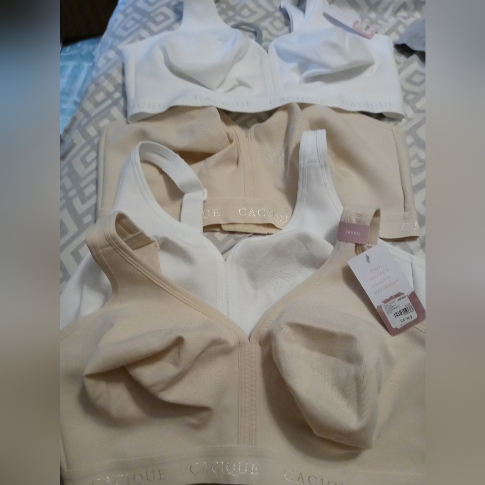 Lane Bryant Cacique 38DDD